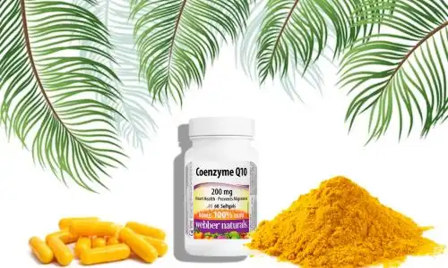 Coenzyme Q10 Supplements: How to Choose the Best One?